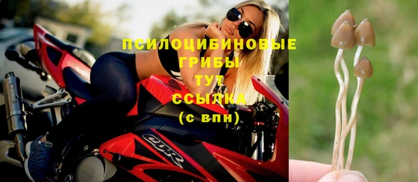 эйфоретик Богородицк