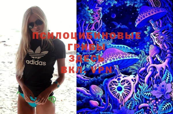 прущая мука Богородск
